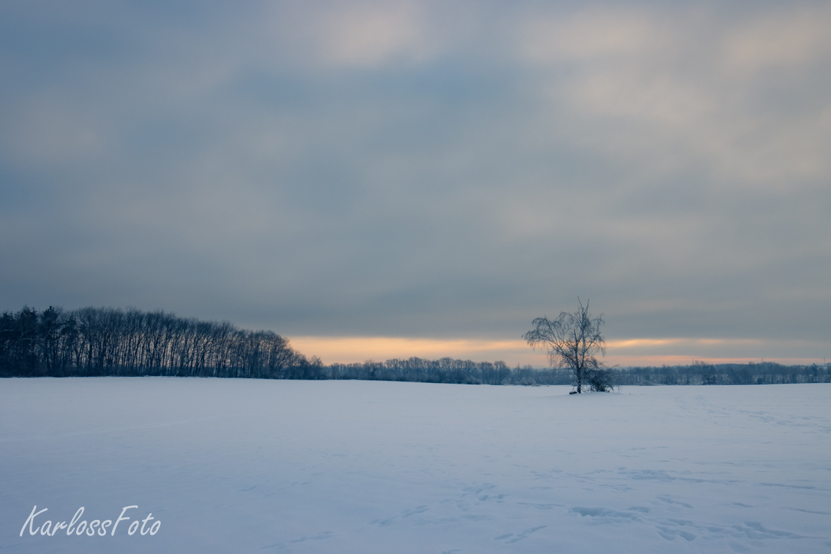 Pole v zimě Brandýs nad Labem