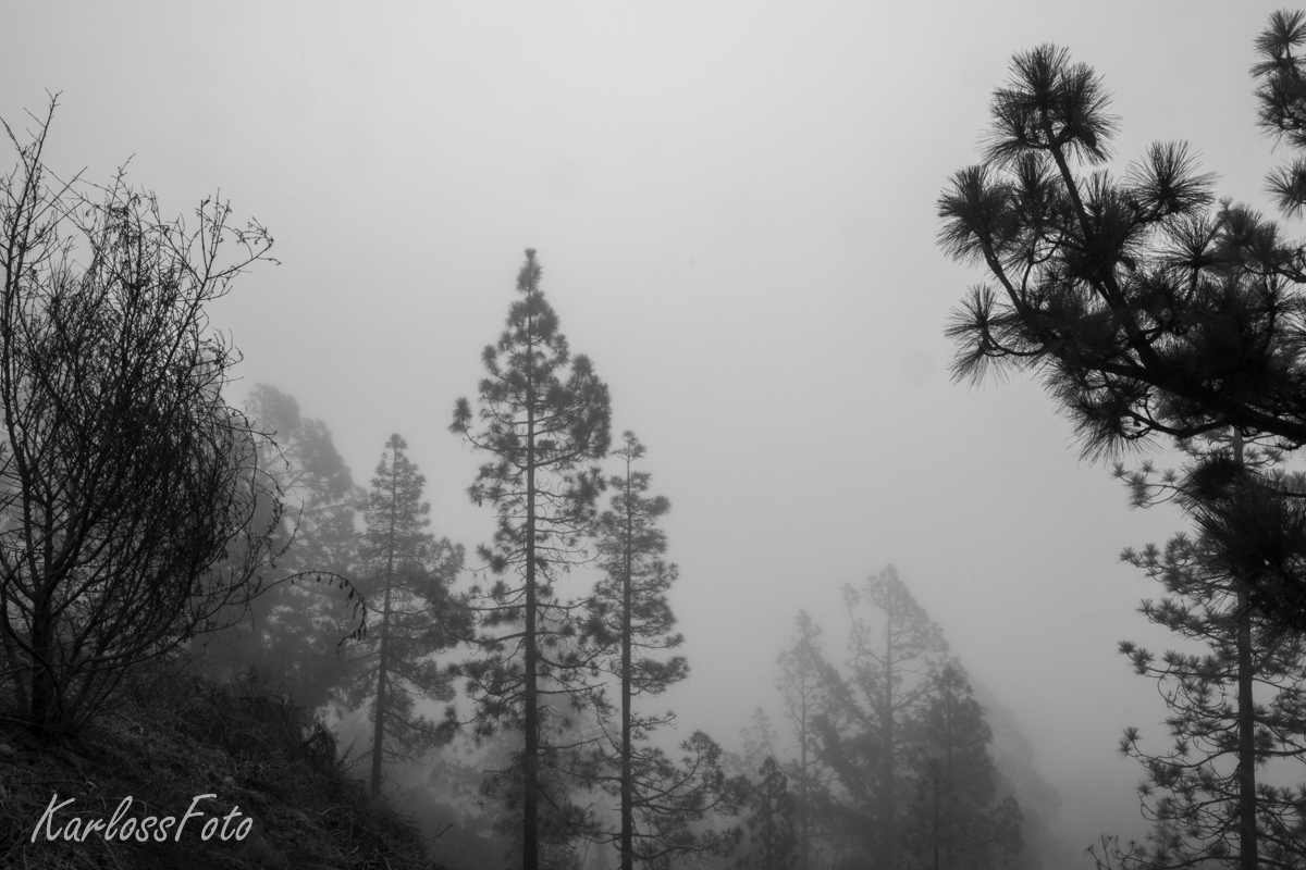 Tenerife Španělsko