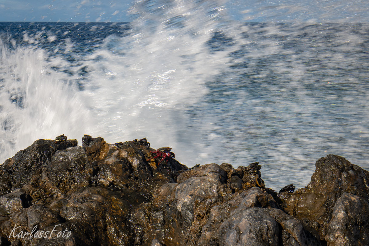 Tenerife Španělsko