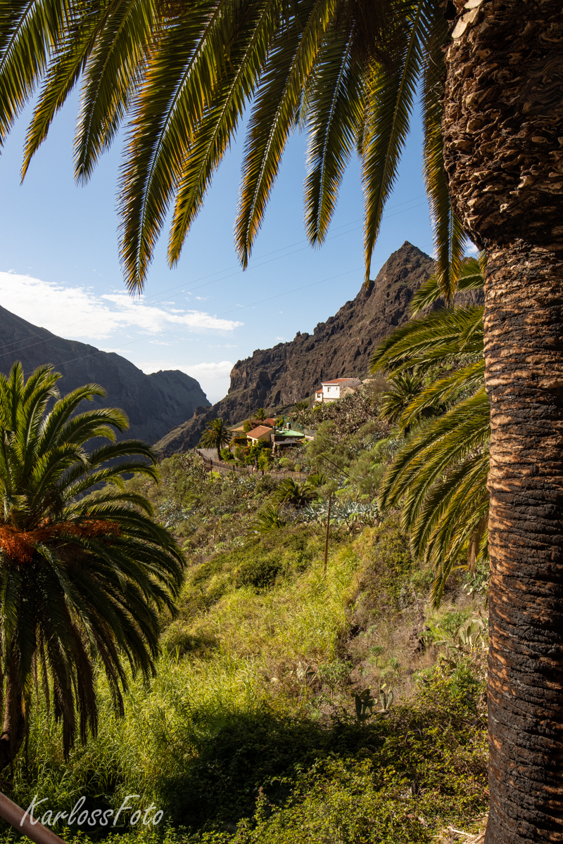 Tenerife Španělsko