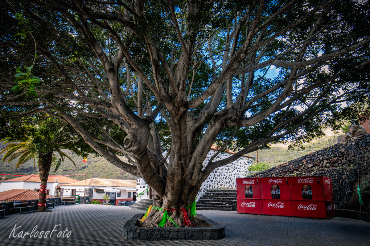 Masca Tenerife Španělsko
