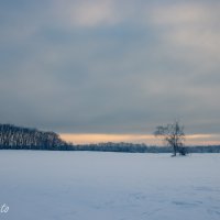 Pole v zimě Brandýs nad Labem