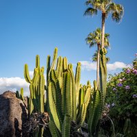 Tenerife Španělsko