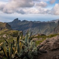 Tenerife Španělsko